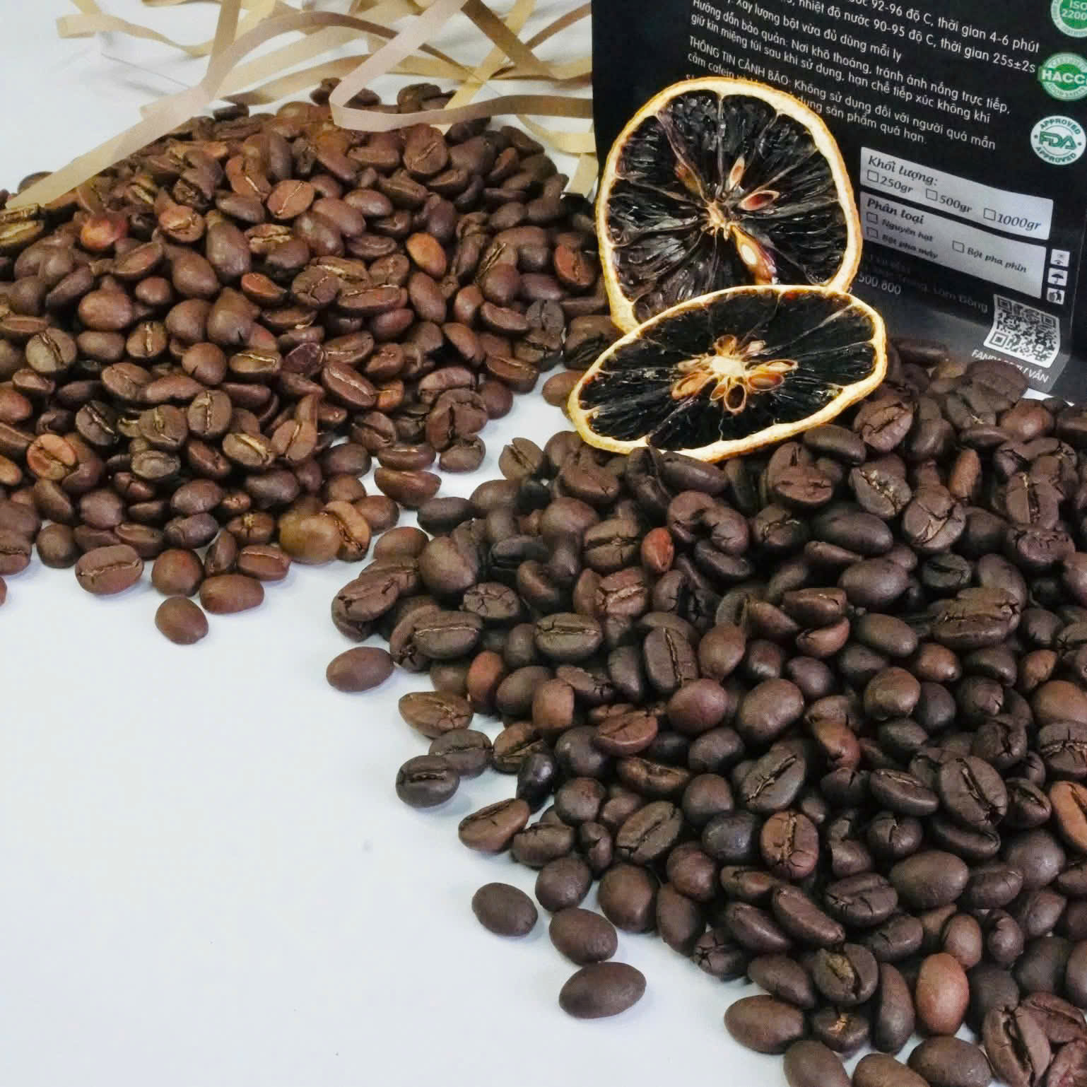 Hạt Arabica và Robusta