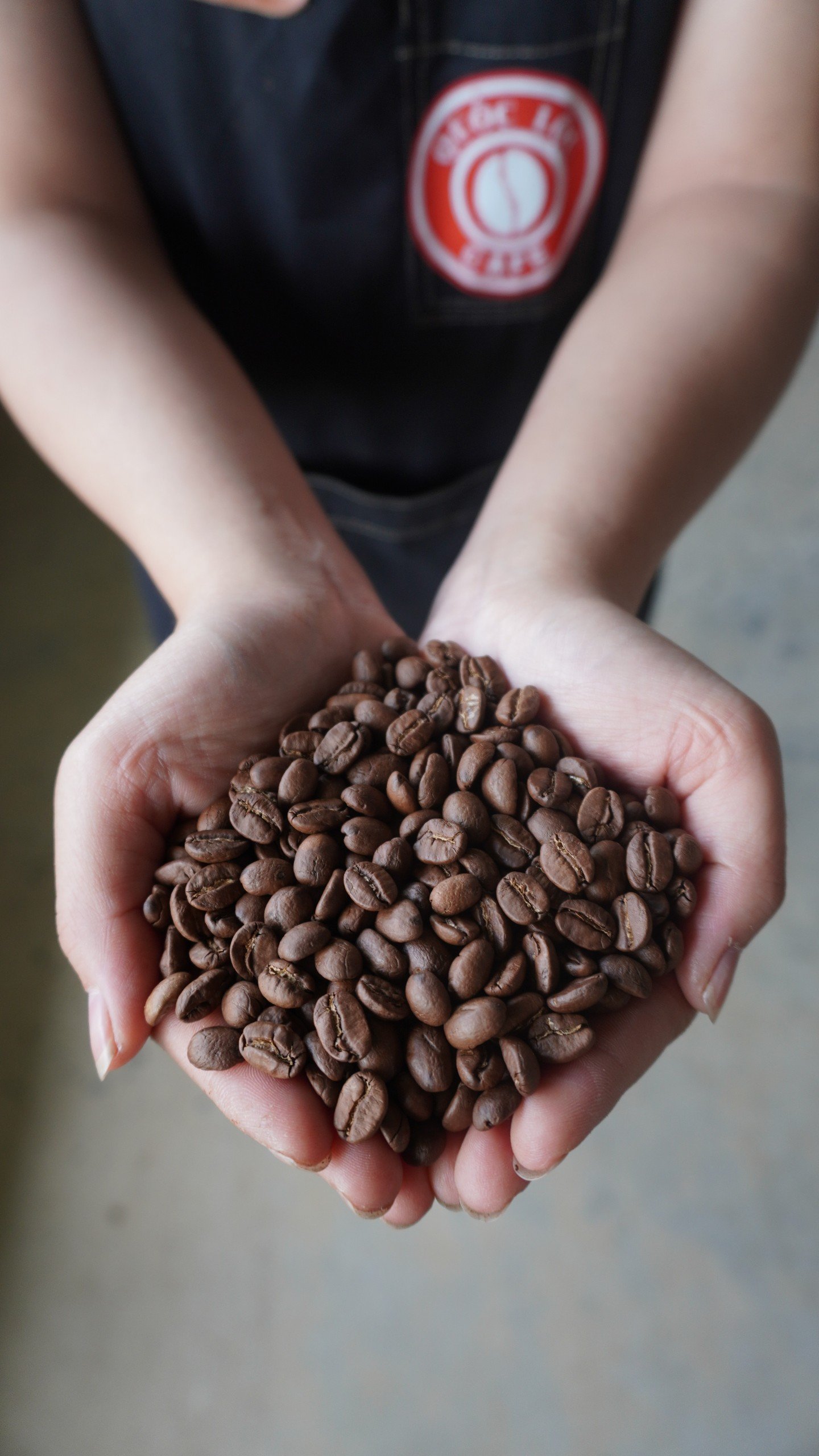 Hạt cà phê nguyên chất rang mộc Quốc Lộc Coffee – minh họa sự khác biệt giữa cafe trộn và cafe nguyên chất