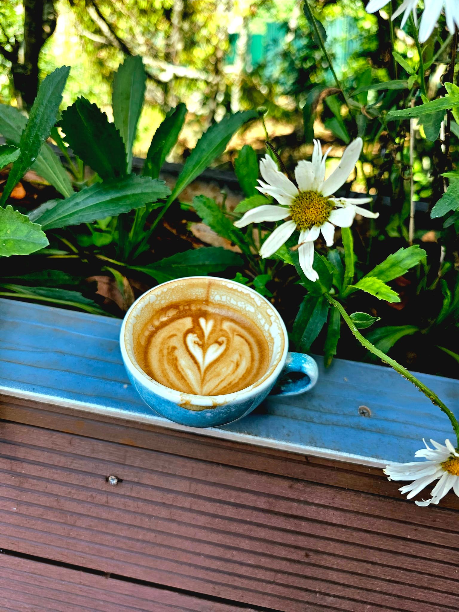 Cà phê cho quán nên ưu tiên hạt rang mộc, pha máy cho crema đẹp, vị cân bằng và ổn định khi phục vụ khách