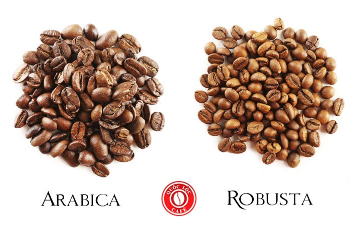 Arabica nguyên chất có vị chua thanh, khác biệt Robusta về acid, hương và hậu vị