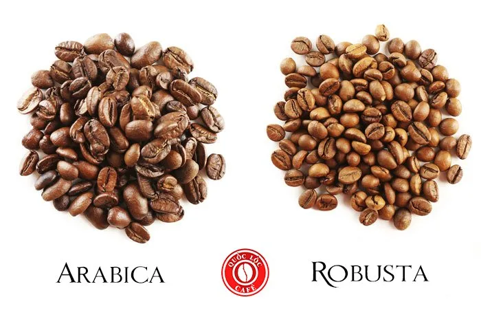 Arabica nguyên chất có vị chua thanh, khác biệt Robusta về acid, hương và hậu vị