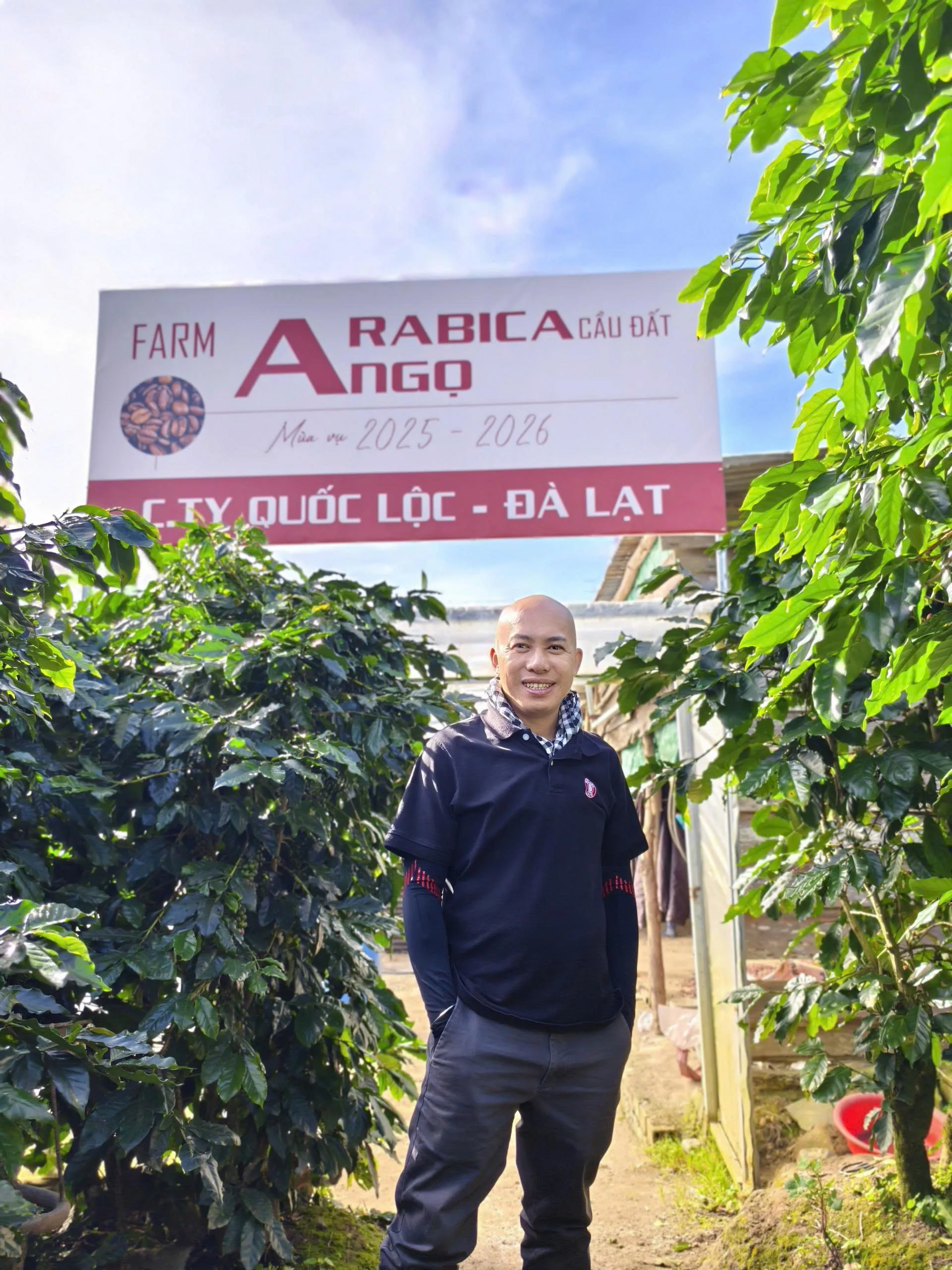 Arabica thơm hơn Robusta khi được trồng ở độ cao Cầu Đất, nơi khí hậu và thổ nhưỡng giúp hạt tích lũy hương tự nhiên – Farm Arabica Quốc Lộc Coffee.
