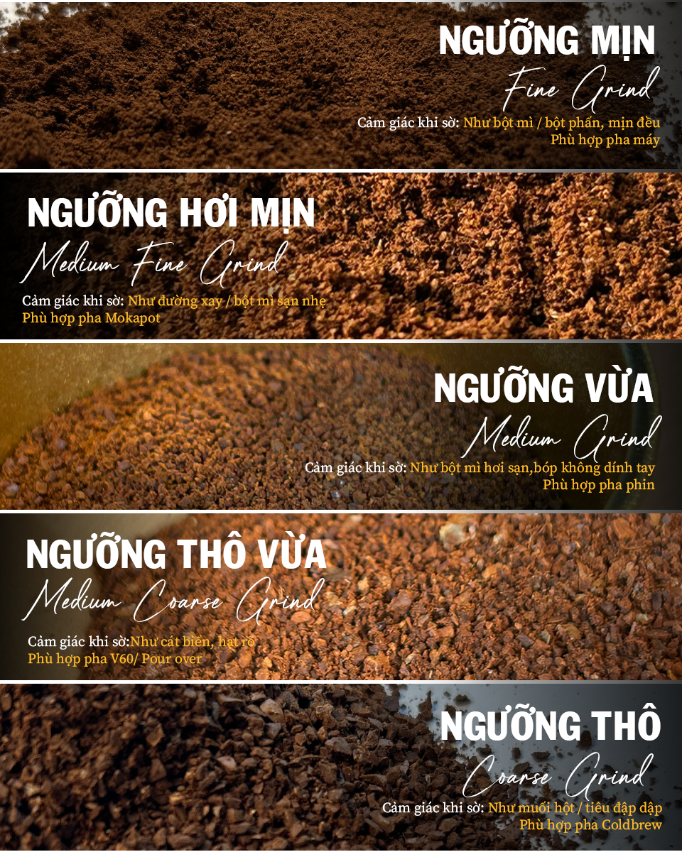 So sánh ngưỡng bột cà phê: bột thô dùng cho pha phin và bột mịn dùng cho pha máy để chiết xuất đúng hương vị