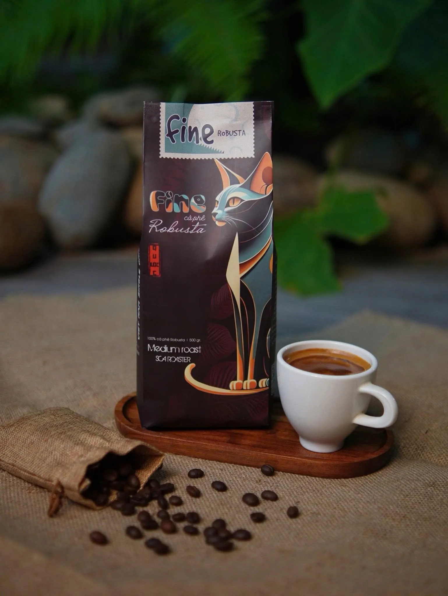 Fine Robusta Quốc Lộc là dòng cà phê đặc sản được tuyển chọn từ những hạt Robusta chất lượng cao tại vùng nguyên liệu Lâm Đồng. Hương thơm chocolate, caramel, hậu vị ngọt kéo dài, thể chất dày và hàm lượng caffeine cao, phù hợp cho pha phin, espresso