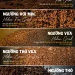 Máy Xay Cà Phê Và Vai Trò Quyết Định Trong Chiết Xuất Hoàn Hảo