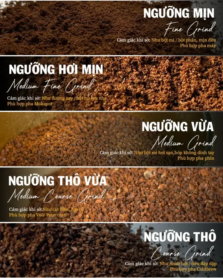 Máy Xay Cà Phê Và Vai Trò Quyết Định Trong Chiết Xuất Hoàn Hảo