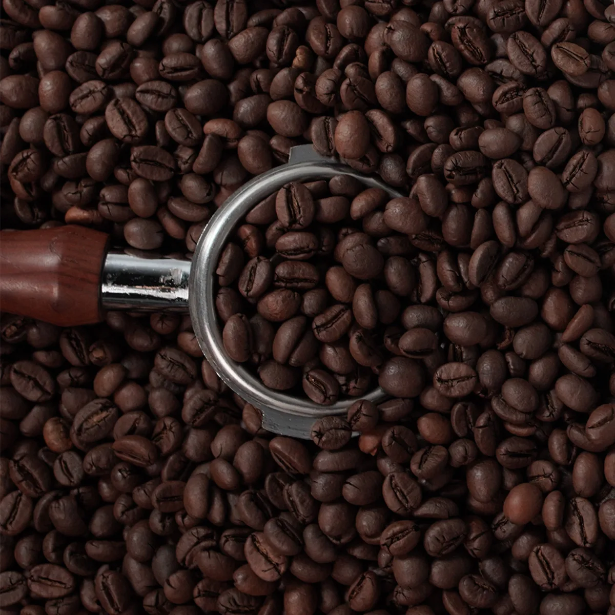 Tỷ Lệ Phối Trộn Robusta Và Arabica